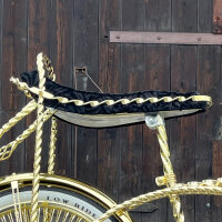 Sattel Umrandung 20" Twisted Gold